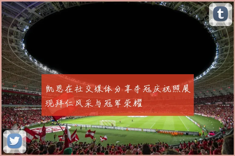 凯恩在社交媒体分享夺冠庆祝照展现拜仁风采与冠军荣耀